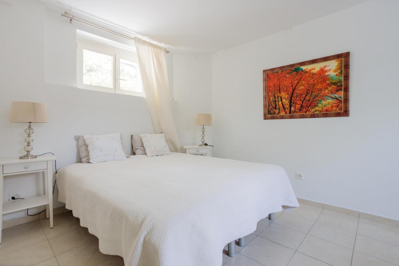 Residence Mont-Blanc Apartment Genève Extérieur photo